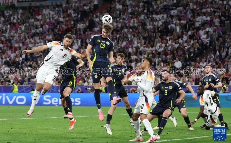 门徒平台注册登录