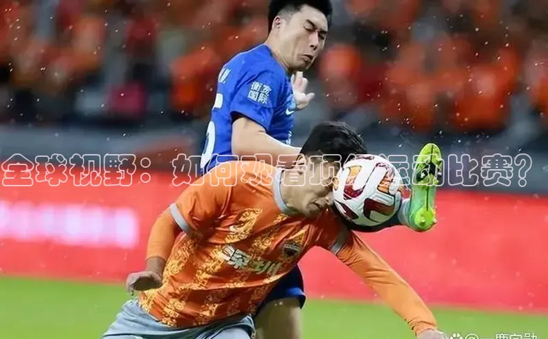 门徒娱乐平台登录入口