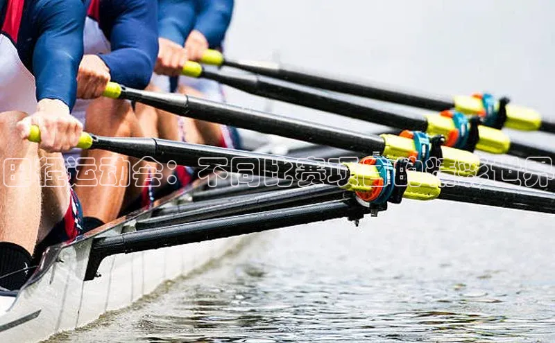 门徒娱乐平台登录入口