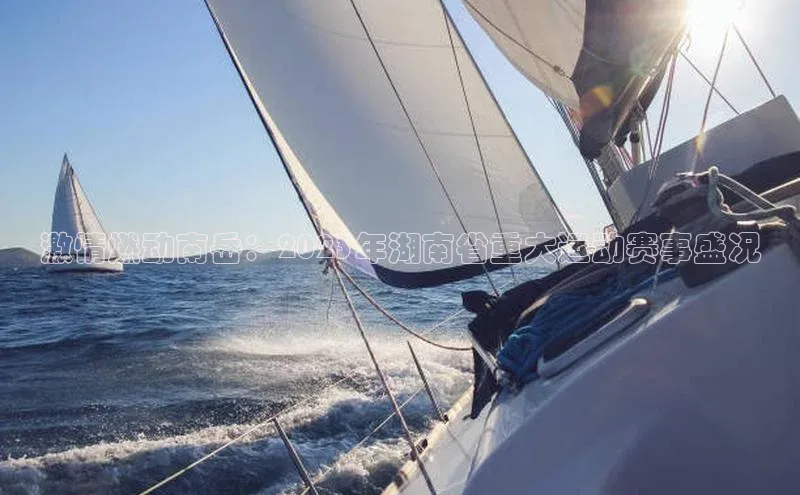 门徒娱乐在线登录